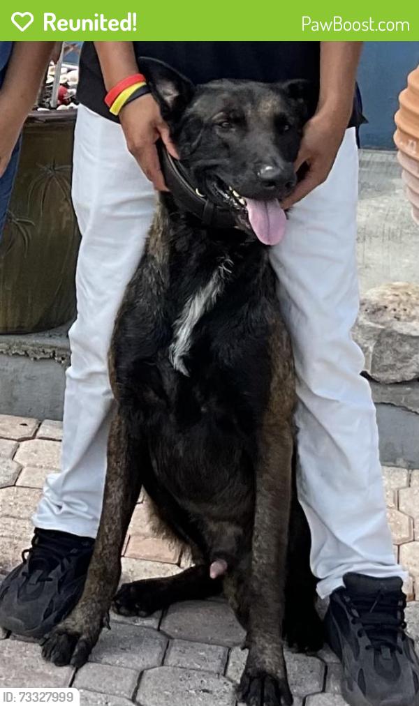Reunited Male Dog last seen President Barak Obama Hwy, West Palm Beach, FL 33404