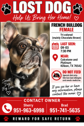 Lost Female Dog last seen Platinum Drive, Siltstone Loop, Killeen, TX 76542