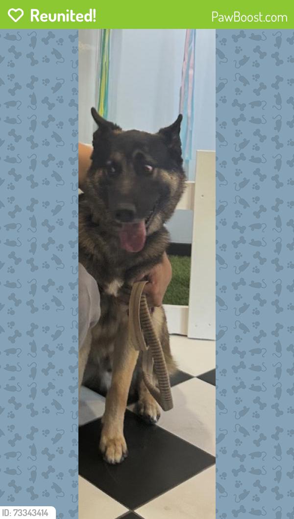 Reunited Male Dog last seen Euclid ant Ridgeway, National City, CA 91950