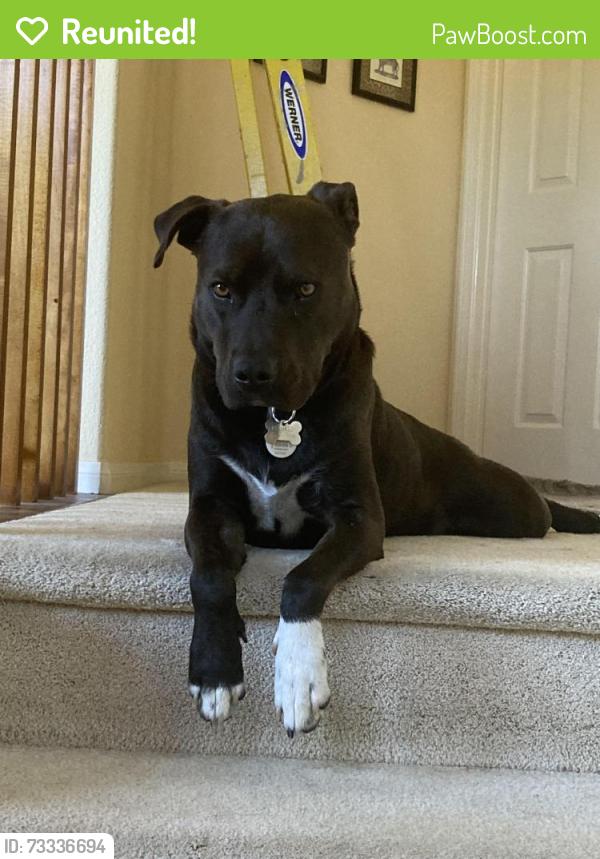 Reunited Male Dog last seen Spring Canyon, San Diego, CA 92131