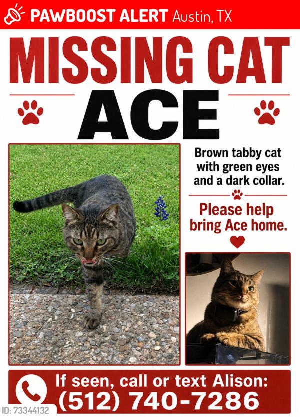 Lost Male Cat last seen Spicewood Springs and Baywood, Austin, TX 78759