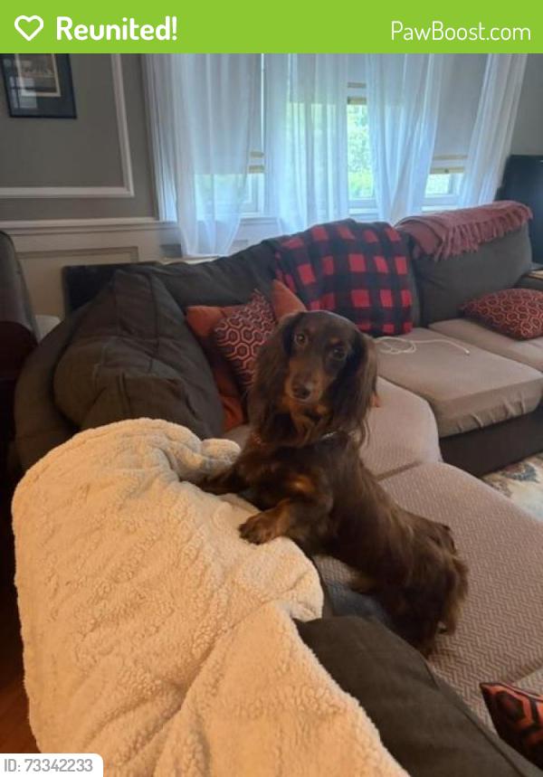 Reunited Female Dog last seen Centre St., South Orange Village, NJ 07079