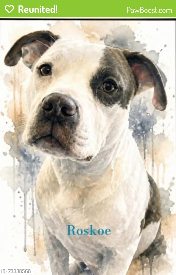 Reunited Male Dog last seen Hwy 140, Canton, GA 30183