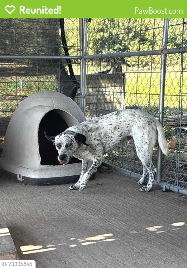 Reunited Unknown Dog last seen East 750 Rd & 988th Rd, Marion Township, KS 66047