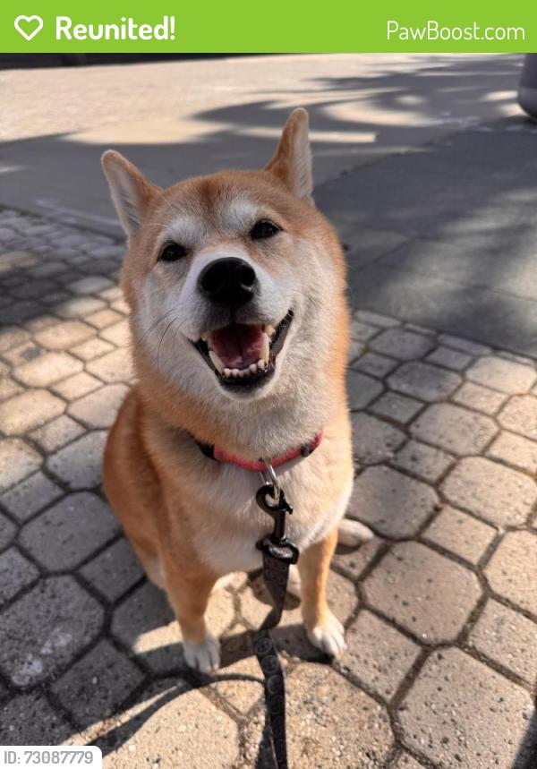 Reunited Female Dog last seen Lake Merritt, Oakland, CA 94610