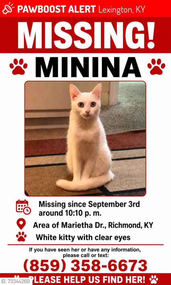 Lost Female Cat last seen Near Marietha Dr, Lexington, KY 40505