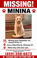 Lost Female Cat last seen Near Marietha Dr, Lexington, KY 40505