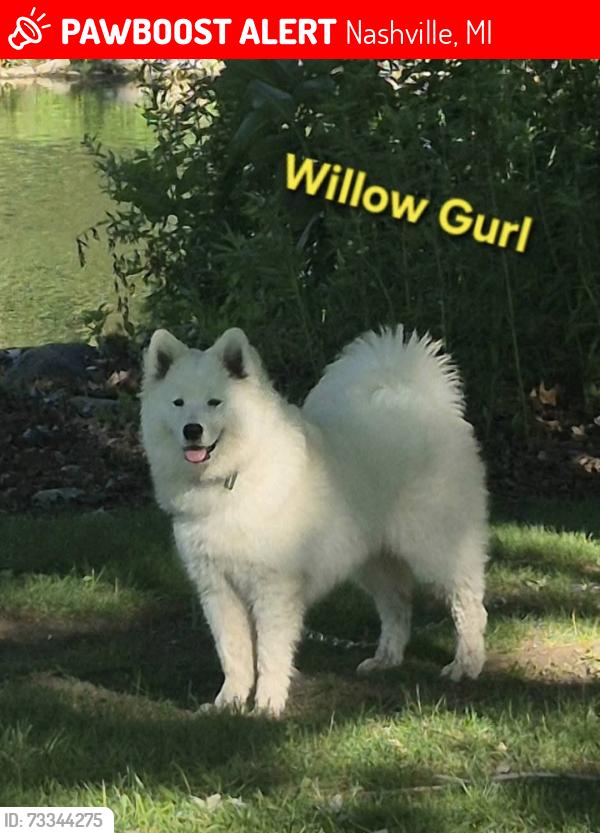 Lost Female Dog last seen Edna, Nashville, MI 49073
