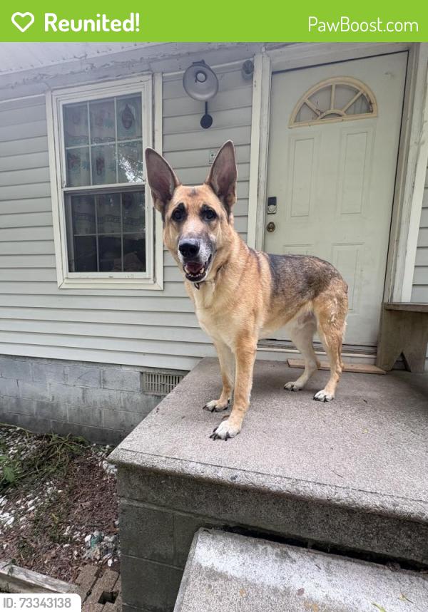 Reunited Male Dog last seen humble fields rd, Murray County, GA 30705