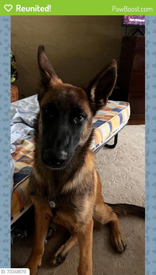 Reunited Male Dog last seen Near Camino Del Llano, Belen, NM 87002, USA, Belen, NM 87002