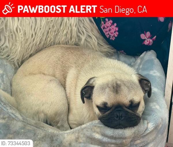 Lost Male Dog last seen Near S Euclid, San Diego, CA 92114