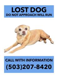 Lost Male Dog last seen 198th Ave, Aloha, OR 97006