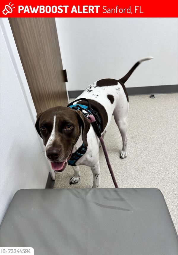Lost Female Dog last seen Katie’s Landing state park, Sanford, FL 32771
