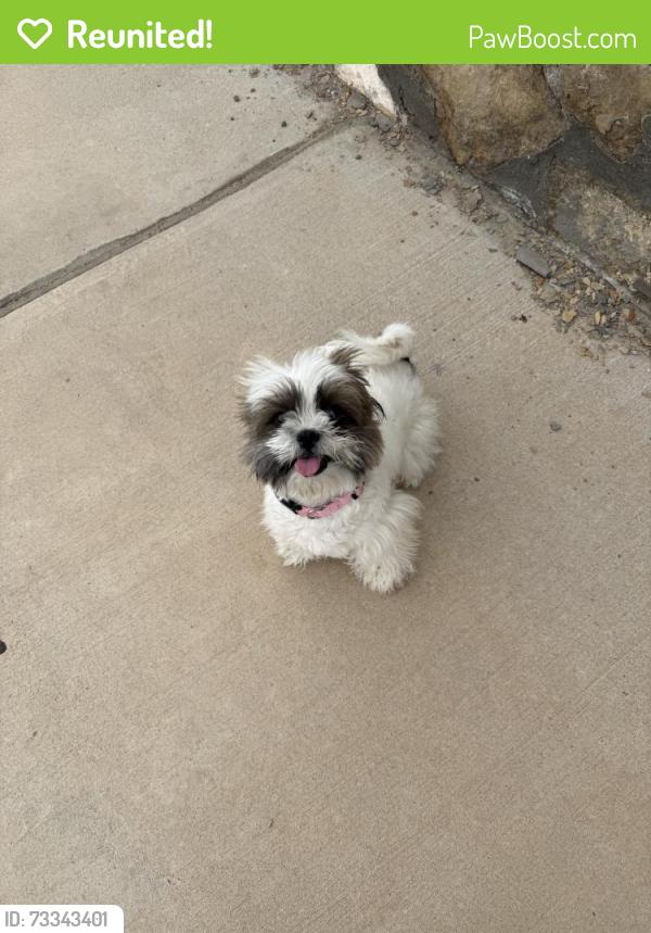 Reunited Unknown Dog last seen Near Ralph Seitsinger, El Paso, TX 79938, USA, El Paso, TX 79938