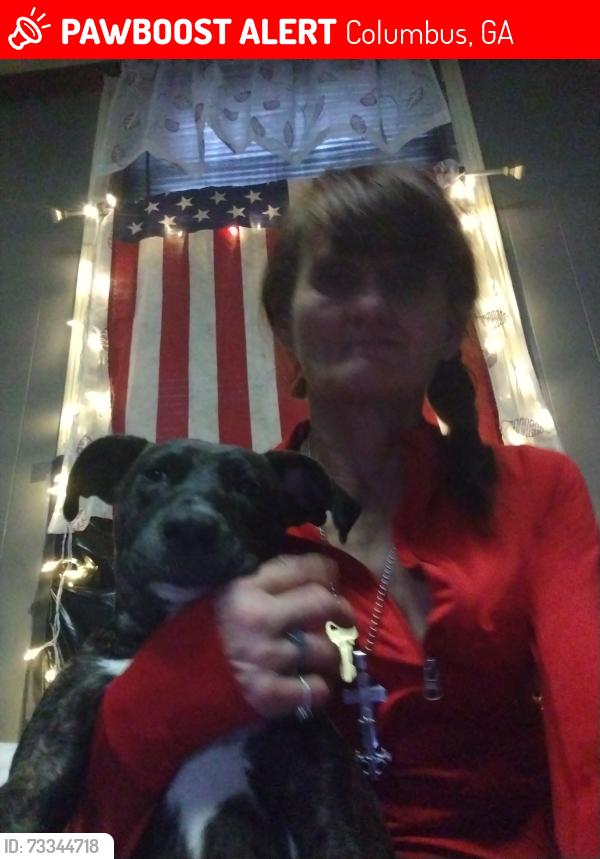 Lost Female Dog last seen Circle k of Manchester and 2nd ave, Columbus, GA 31904