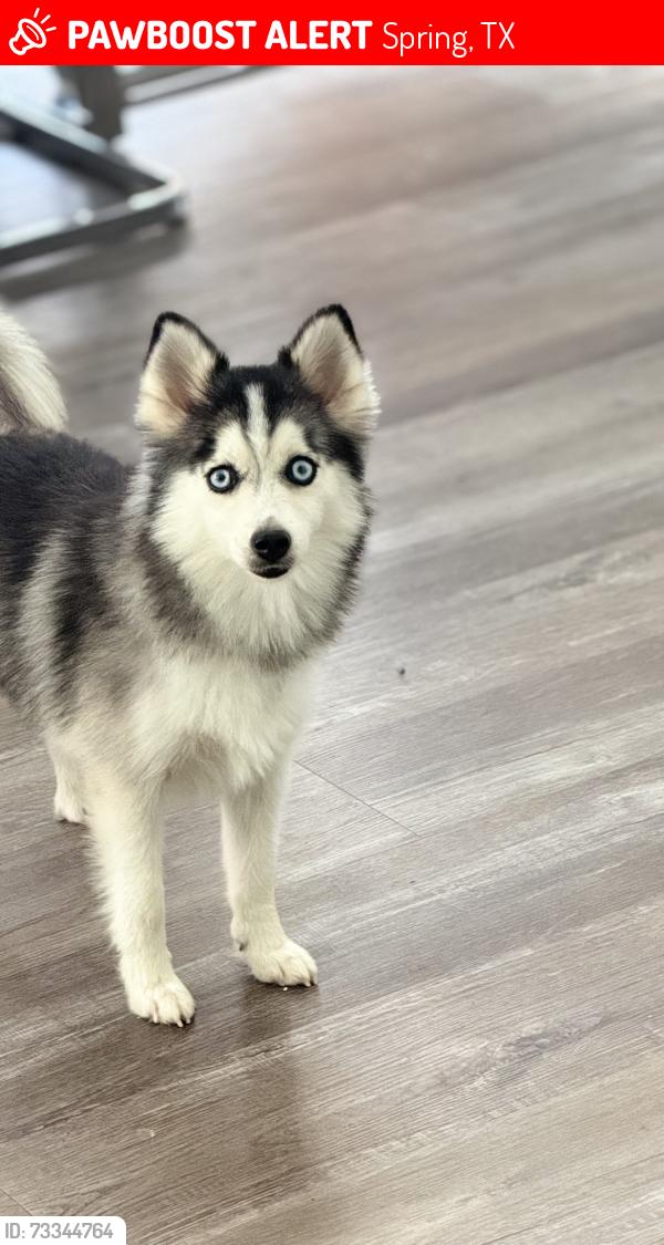 Lost Female Other last seen Montcliff bend ln, Spring, TX 77373
