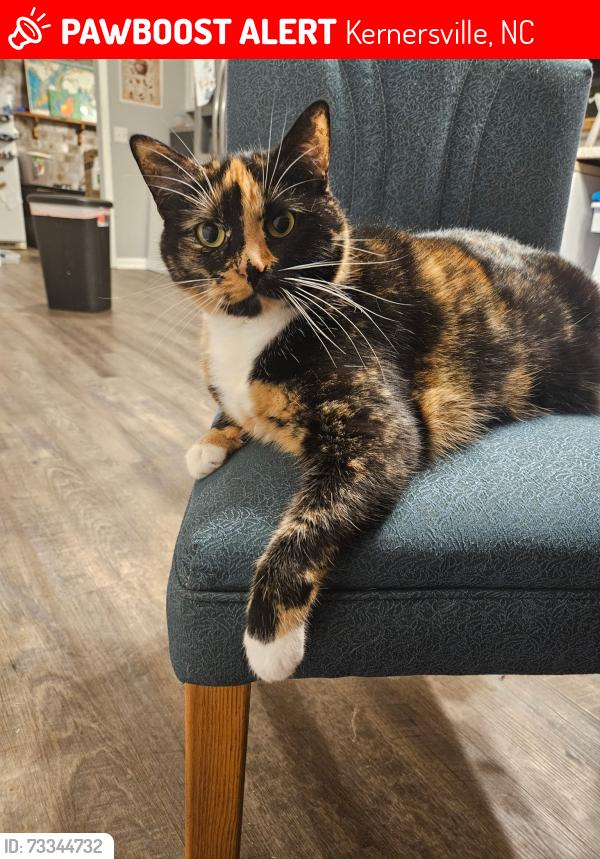Lost Female Cat last seen Canterbury ests, Kernersville, NC 27284