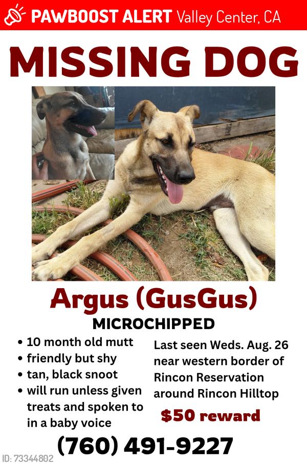 Lost Male Dog last seen Rincon Hilltop Area, Valley Center, CA 92082