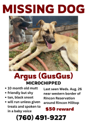 Lost Male Dog last seen Rincon Hilltop Area, Valley Center, CA 92082