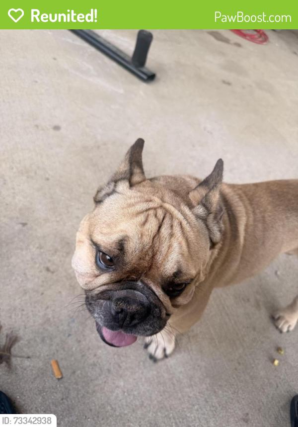 Reunited Male Dog last seen Trail Lake/Wolens Way, Fort Worth, TX 76133
