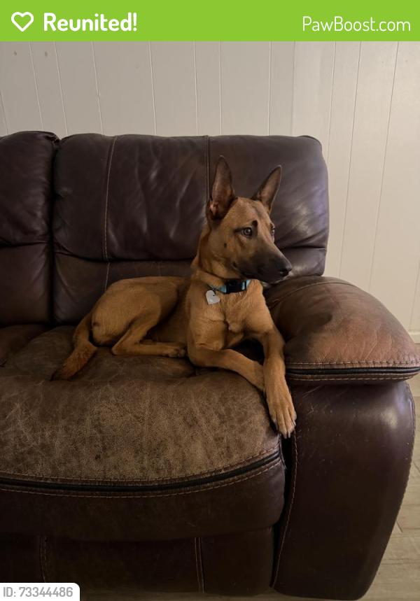 Reunited Female Dog last seen HW410, San Antonio, TX 78218