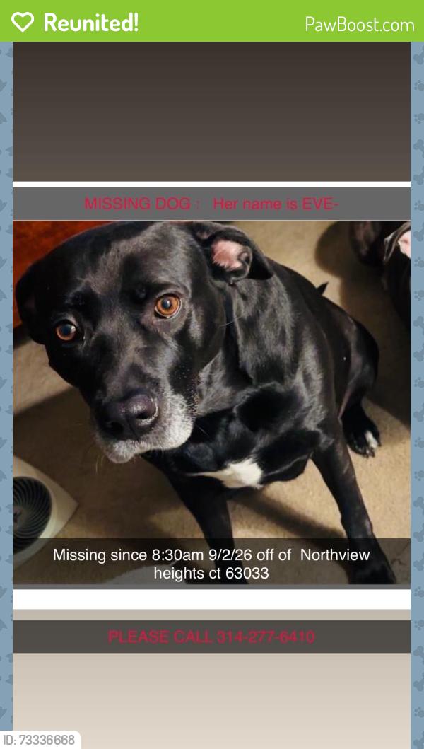 Reunited Female Dog last seen Neighborhood, Florissant, MO 63033