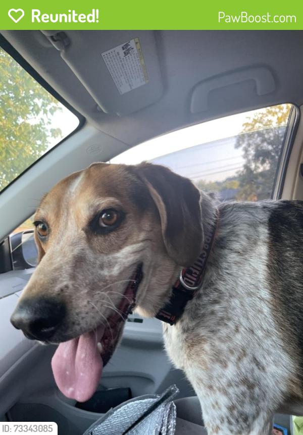 Reunited Male Dog last seen Robinson Road, Knoxville, TN 37923