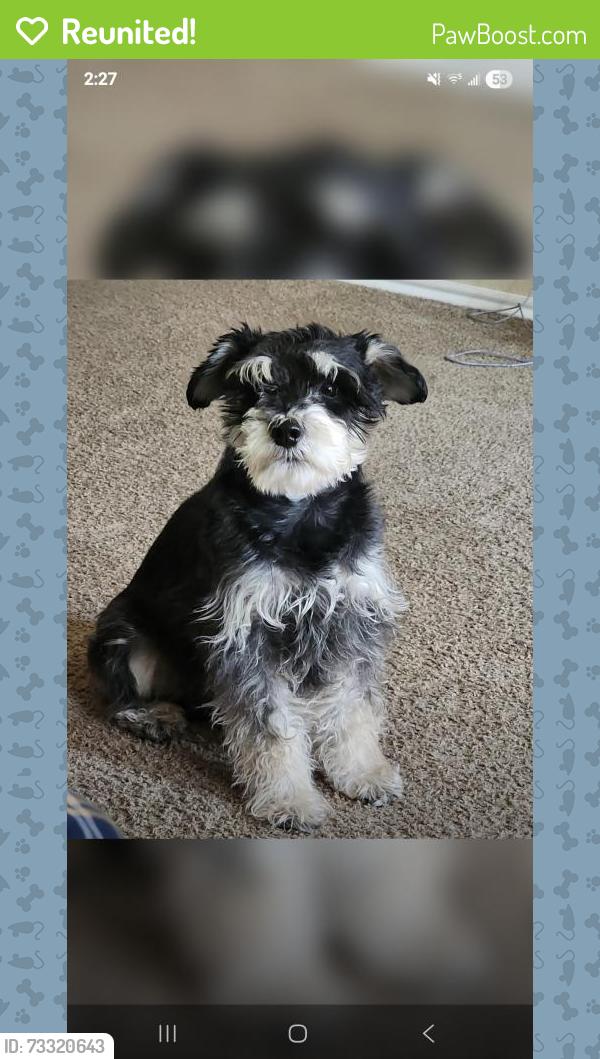 Reunited Male Dog last seen Claridge, San Antonio, TX 78250