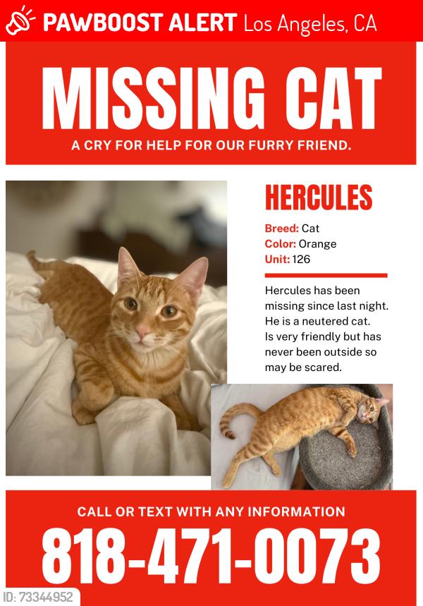 Lost Male Cat last seen Near Osborne St Unit 126 Pacoima CA 91331, Los Angeles, CA 91331