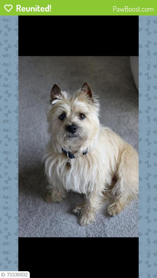 Reunited Male Dog last seen Bells Mill & Cedar Creek, Shepherdsville, KY 40165