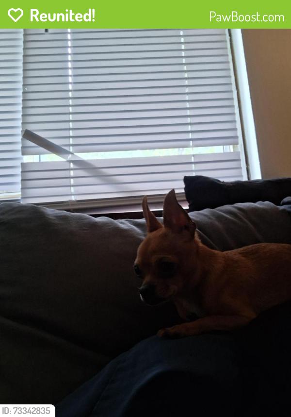 Reunited Male Dog last seen Lechner, Columbus, OH 43223