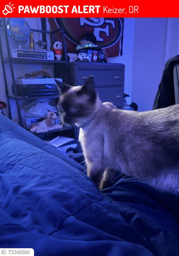Lost Female Cat last seen Chemawa Rd red market and townhouses/duplexes, Keizer, OR 97303
