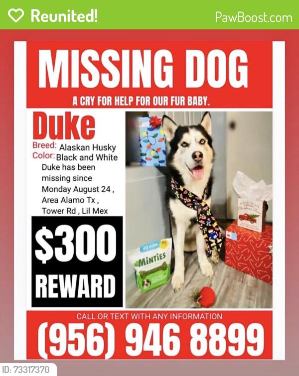 Reunited Male Dog last seen Near San Angelo dr alamo tx 78516, Alamo, TX 78516