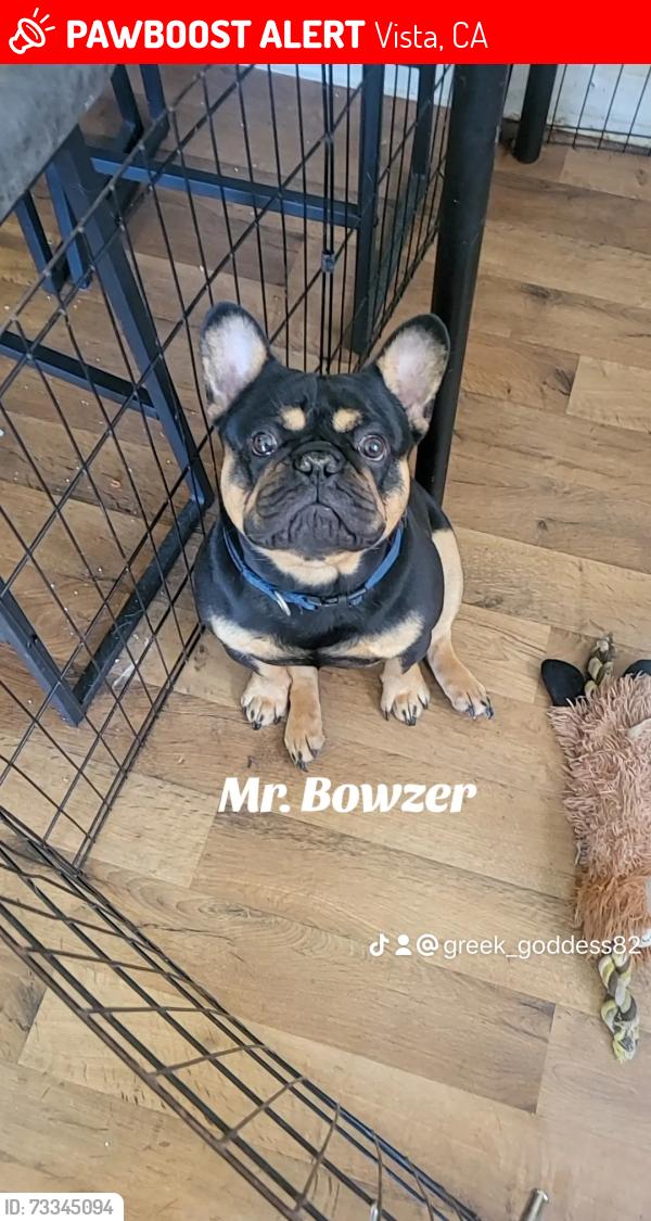Lost Male Dog last seen East Vista way, Vista, CA 92084