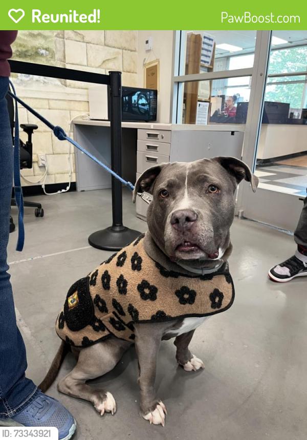 Reunited Female Dog last seen Sw Buttner Road, Beaverton, OR 97006