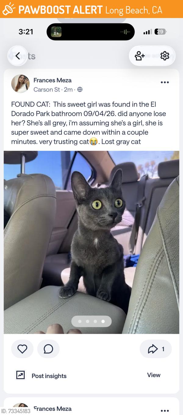 Found/Stray Unknown Cat last seen El Dorado Park Bathroom, Long Beach, CA 90808