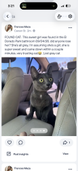 Found/Stray Unknown Cat last seen El Dorado Park Bathroom, Long Beach, CA 90808