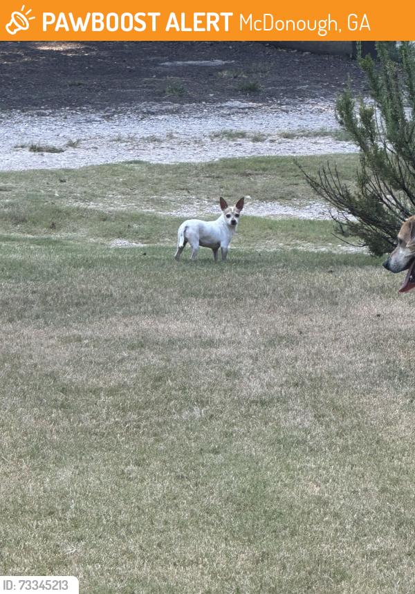 Found/Stray Male Dog last seen Old Jackson Rd & South Bethany Rd, McDonough, GA 30252