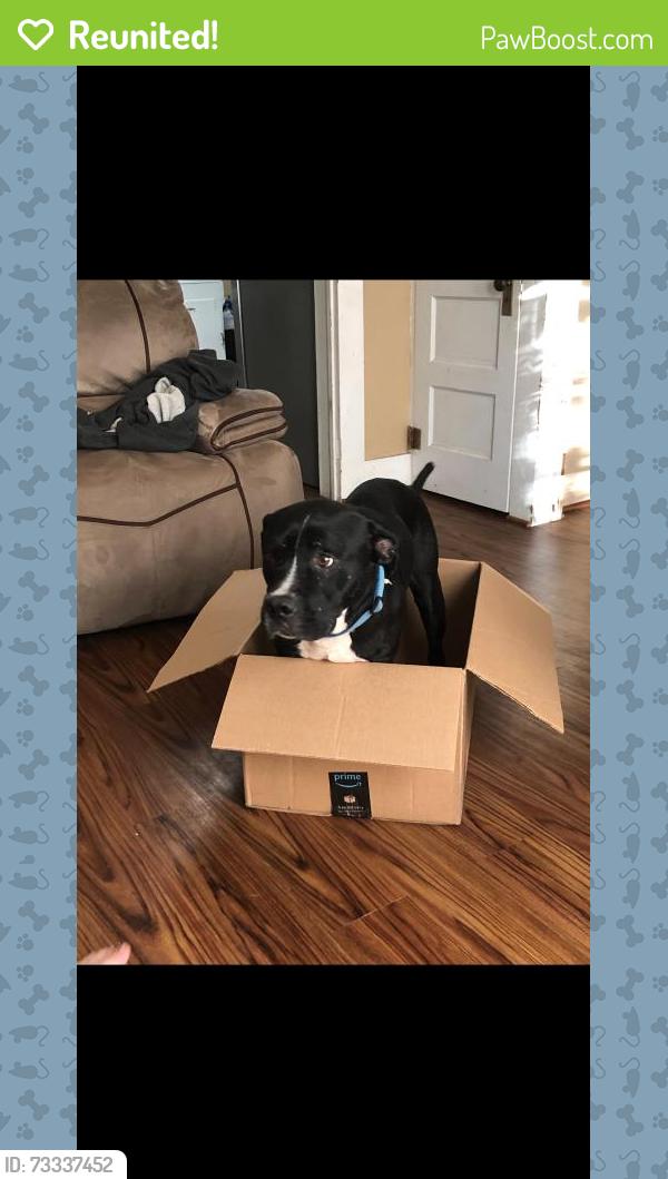 Reunited Male Dog last seen N Pavey Cir, Texas 77358, USA, Walker County, TX 77358