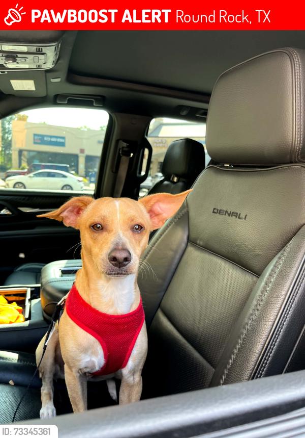 Lost Male Dog last seen Round Rock Service Center, Round Rock, TX 78664