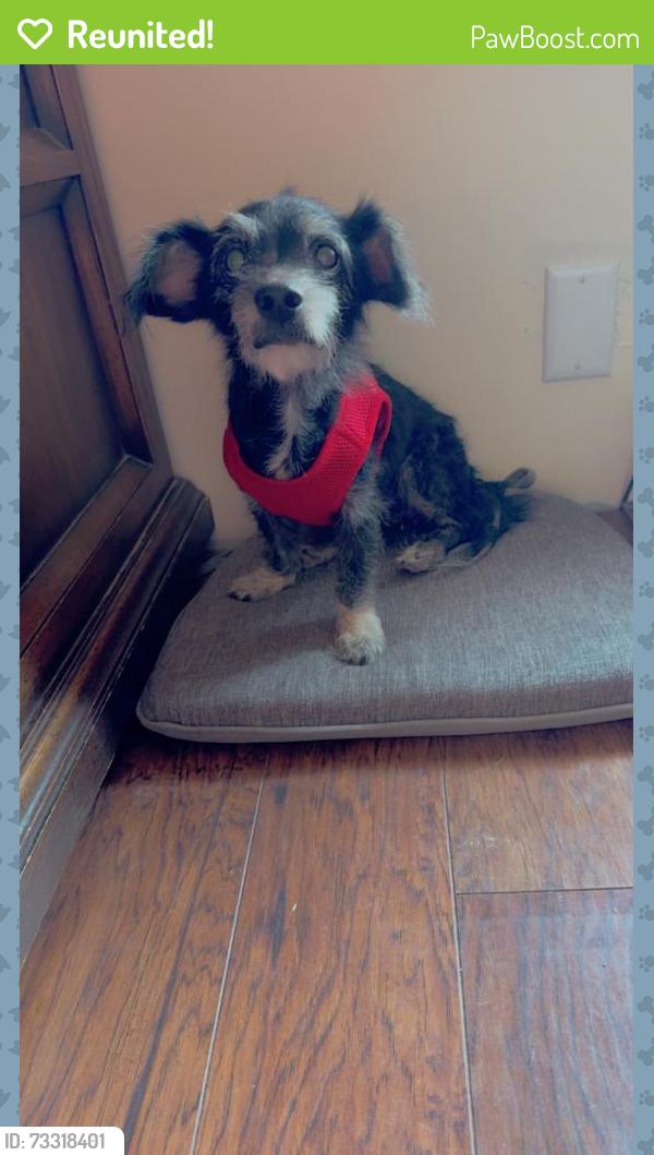 Reunited Female Dog last seen Gruetzner Ln, Elgin, TX 78621, USA, Elgin, TX 78621