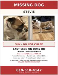 Lost Female Dog last seen Dory Dr, Nashville, TN 37013