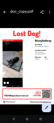 Lost Female Dog last seen Gregory boulevard, Kansas City, MO 64132