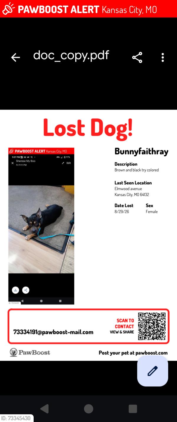 Lost Female Dog last seen Gregory boulevard, Kansas City, MO 64132