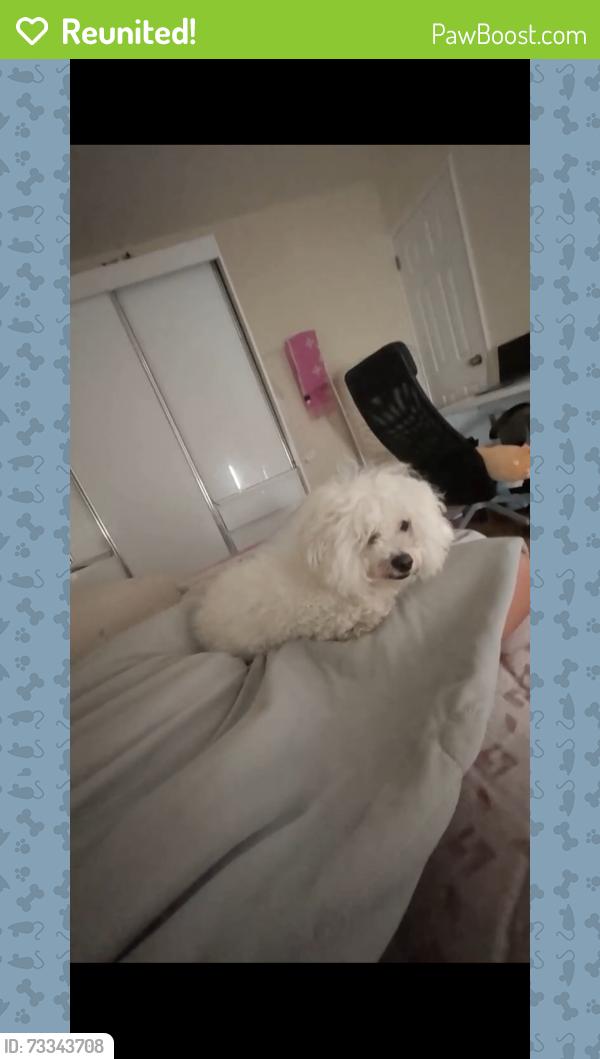Reunited Female Dog last seen 69-58 Main St, Flushing (7-11), Queens, NY 11367