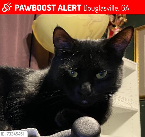 Lost Male Cat last seen Hillcrest Way and Sweetwster Dr, Douglasville, GA 30135