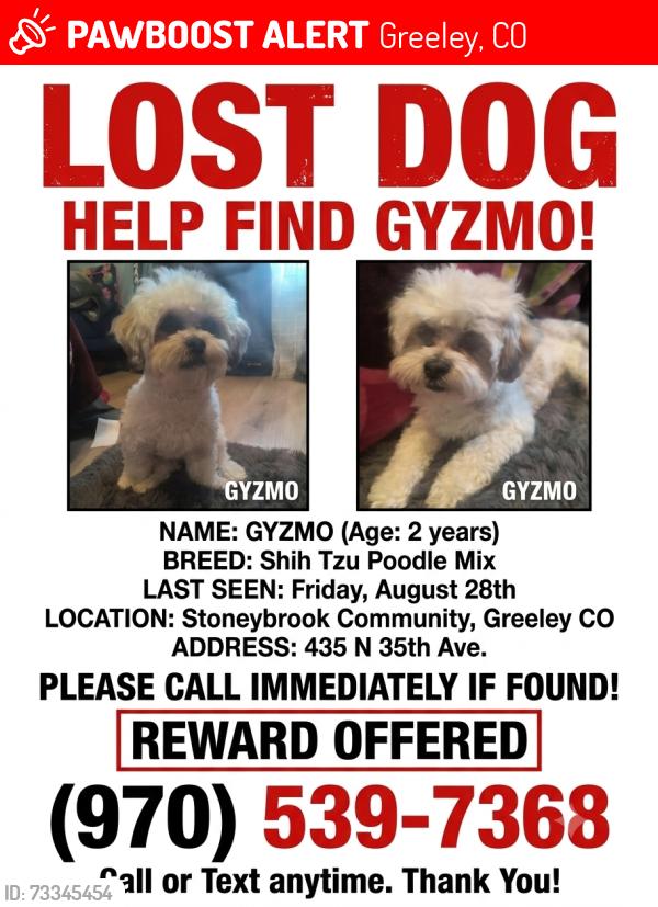 Lost Male Dog last seen Stoneybrook community, Greeley, CO 80634