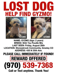 Lost Male Dog last seen Stoneybrook community, Greeley, CO 80634