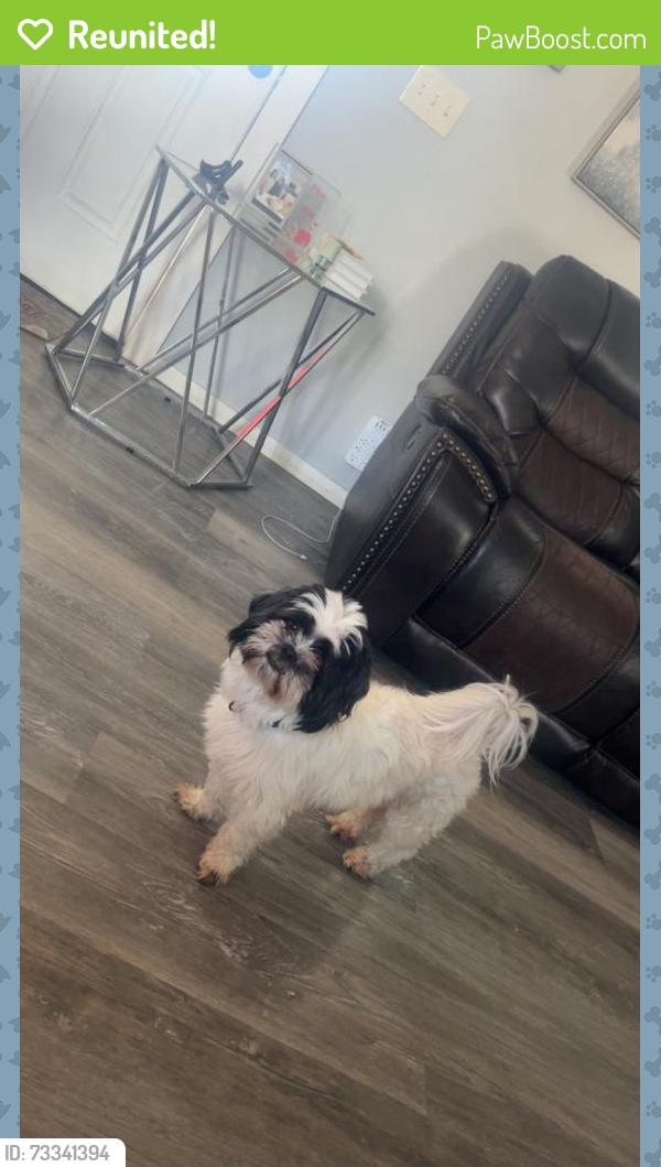Reunited Male Dog last seen Windy Hill Farms, Asheville, NC 28806