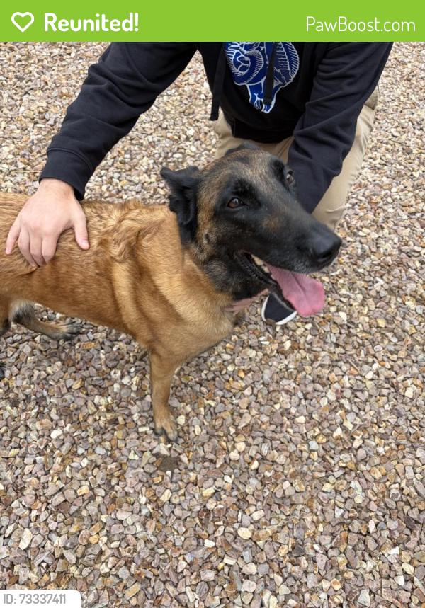 Reunited Female Dog last seen Wishing Well and Gallop Rd, Bend, OR 97701